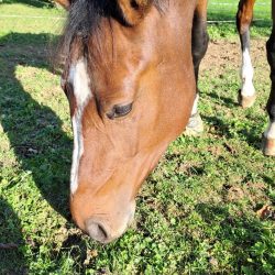 0d54d5f5-deed-4717-9d52-7450037ebc23 0d54d5f5-deed-4717-9d52-7450037ebc23