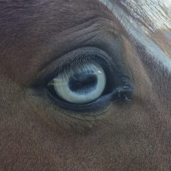 579c2db4-8f99-4deb-ad98-54ca962dd5f9 579c2db4-8f99-4deb-ad98-54ca962dd5f9