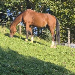 5da2bb0f-92cf-4b80-a7cb-fd34f4c8f593 5da2bb0f-92cf-4b80-a7cb-fd34f4c8f593