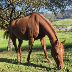 6a28e970-b454-4617-9668-5c821afb50c6 6a28e970-b454-4617-9668-5c821afb50c6