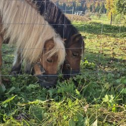 d2cbbaf8-7920-42f1-b498-d54f7e508c67 d2cbbaf8-7920-42f1-b498-d54f7e508c67